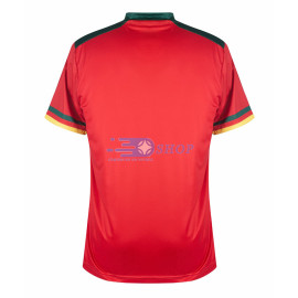 Camiseta Cameroon 3ª Equipación 2022 Mundial