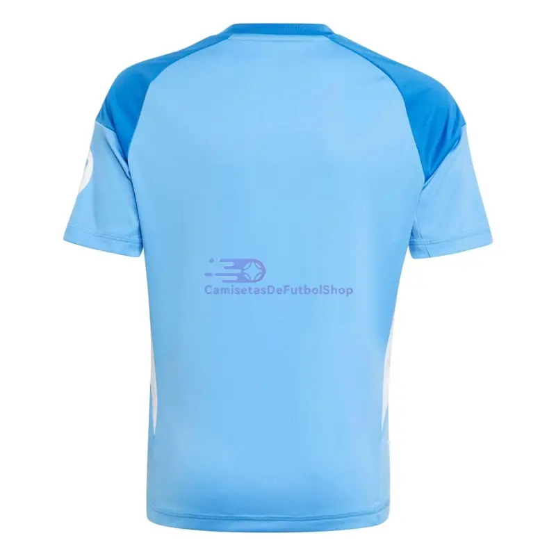 Camiseta de Portero Real Madrid 2025/2026 Azul con Parche HP