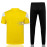 Camiseta De Entrenamiento Dortmund 2021/2022 Kit Amarillo Manga Blanco/Negro