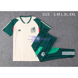 Camiseta de Entrenamiento México Beige/Verde 2022 Kit