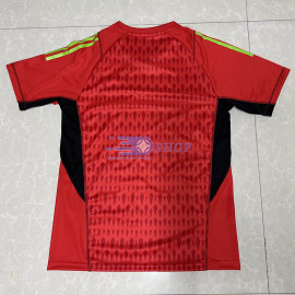 Camiseta de Portero Tigres UANL Rojo 2023/2024
