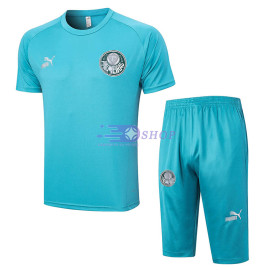 Camiseta de Entrenamiento Palmeiras Azul 2023/2024