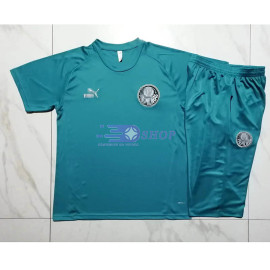 Camiseta de Entrenamiento Palmeiras Azul 2023/2024