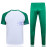 Camiseta de Entrenamiento Palmeiras Blanco/Verde 2023/2024