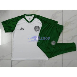 Camiseta de Entrenamiento Palmeiras Blanco/Verde 2023/2024