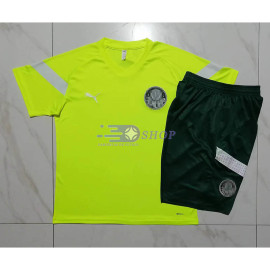 Camiseta de Entrenamiento Palmeiras Verde Fluorescente 2023/2024