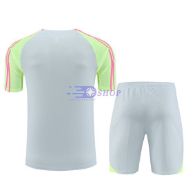 Camiseta de Entrenamiento PSG Gris Claro/Verde 2023/2024