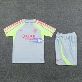 Camiseta de Entrenamiento PSG Gris Claro/Verde 2023/2024