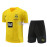 Camiseta de Entrenamiento Borussia Dortmund Amarillo 2023/2024