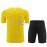 Camiseta de Entrenamiento Borussia Dortmund Amarillo 2023/2024