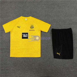 Camiseta de Entrenamiento Borussia Dortmund Amarillo 2023/2024