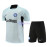 Camiseta de Entrenamiento Inter De Mlian Gris Claro 2023/2024