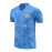 Camiseta de Entrenamiento Manchester City Azul Claro 2023/2024