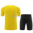 Camiseta de Entrenamiento Borussia Dortmund Amarillo 2023/2024 Niño Kit