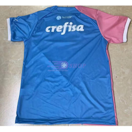 Camiseta Palmeiras 2023/2024 Rosa/Azul Especial Edición