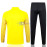 Chaqueta Borussia Dortmund Amarillo 2023/2024