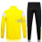 Chaqueta Borussia Dortmund Amarillo/Negro/Blanco 2023/2024