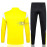 Sudadera de Entrenamiento Borussia Dortmund Amarillo/Negro 2023/2024