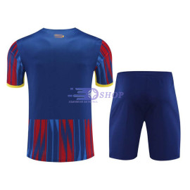 Camiseta de Entrenamiento Barcelona Azul/Rojo 2023/2024