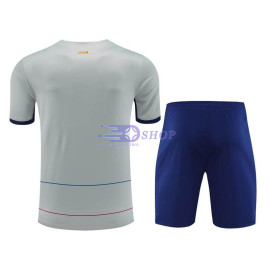 Camiseta de Entrenamiento Barcelona Gris 2023/2024