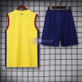 Camiseta de Entrenamiento Barcelona Sin Mangas Amarillo 2023/2024 Kit