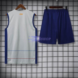 Camiseta de Entrenamiento Barcelona Sin Mangas Gris 2023/2024 Kit