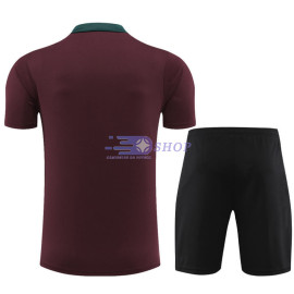 Camiseta de Entrenamiento PSG Rojo Oscuro 2023/2024
