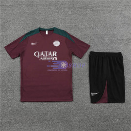 Camiseta de Entrenamiento PSG Rojo Oscuro 2023/2024