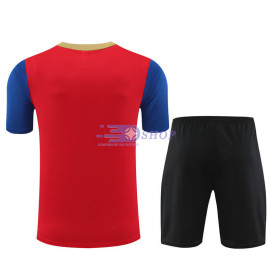 Camiseta de Entrenamiento Barcelona Rojo/Azul/Dorado 2023/2024 Niño Kit