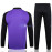 Sudadera de Entrenamiento Alemania Morado/Negro 2024 Kit