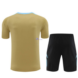 Camiseta de Entrenamiento Argentina Dorado/Azul 2024 Kit