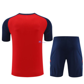 Camiseta de Entrenamiento España Rojo/Azul Marino 2024 Kit