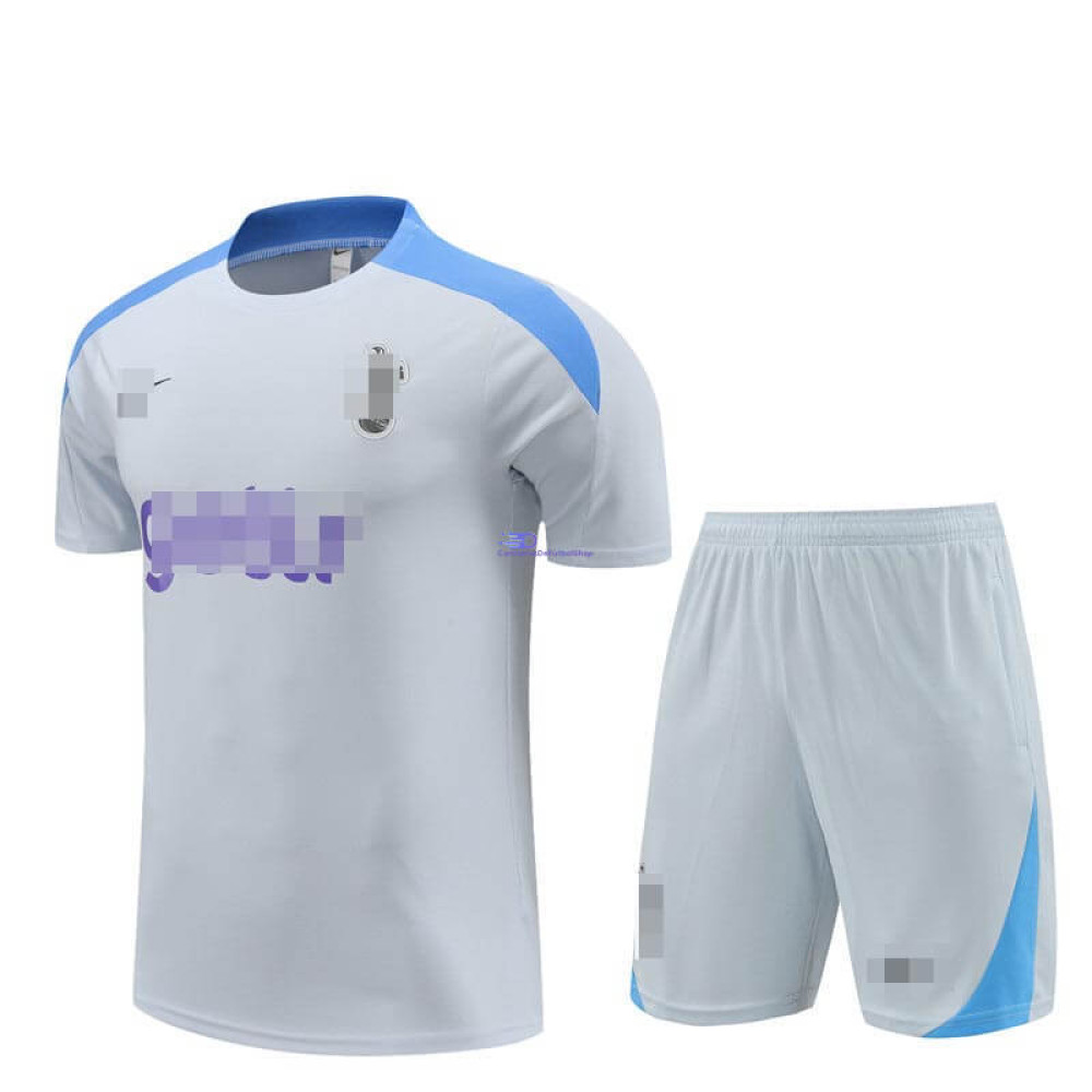 Camiseta de Entrenamiento Tottenham Hotspur Gris Claro 2024/2025 Kit