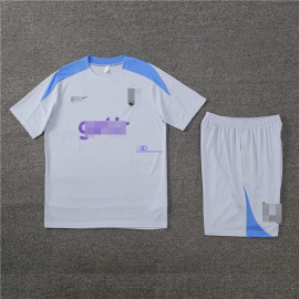 Camiseta de Entrenamiento Tottenham Hotspur Gris Claro 2024/2025 Kit