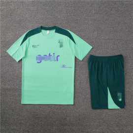 Camiseta de Entrenamiento Tottenham Hotspur Verde 2024/2025 Kit