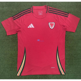 Camiseta Gales 2024 1ª Equipación