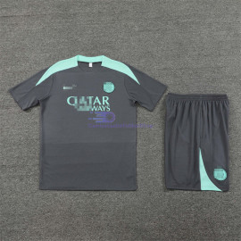 Camiseta de Entrenamiento PSG Gris/Aquamarine 2024/2025 Kit