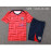 Camiseta de Entrenamiento Inglaterra Rojo 2024 Kit