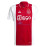 Camiseta Ajax de Ámsterdam 2024/2025 1ª Equipación