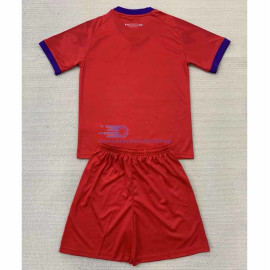 Camiseta Fiorentina 2024/2025 3ª Equipación Niño Kit