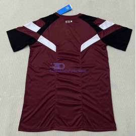 Camiseta Ajax de Ámsterdam 2024/2025 Rojo/Negro Especial Edición