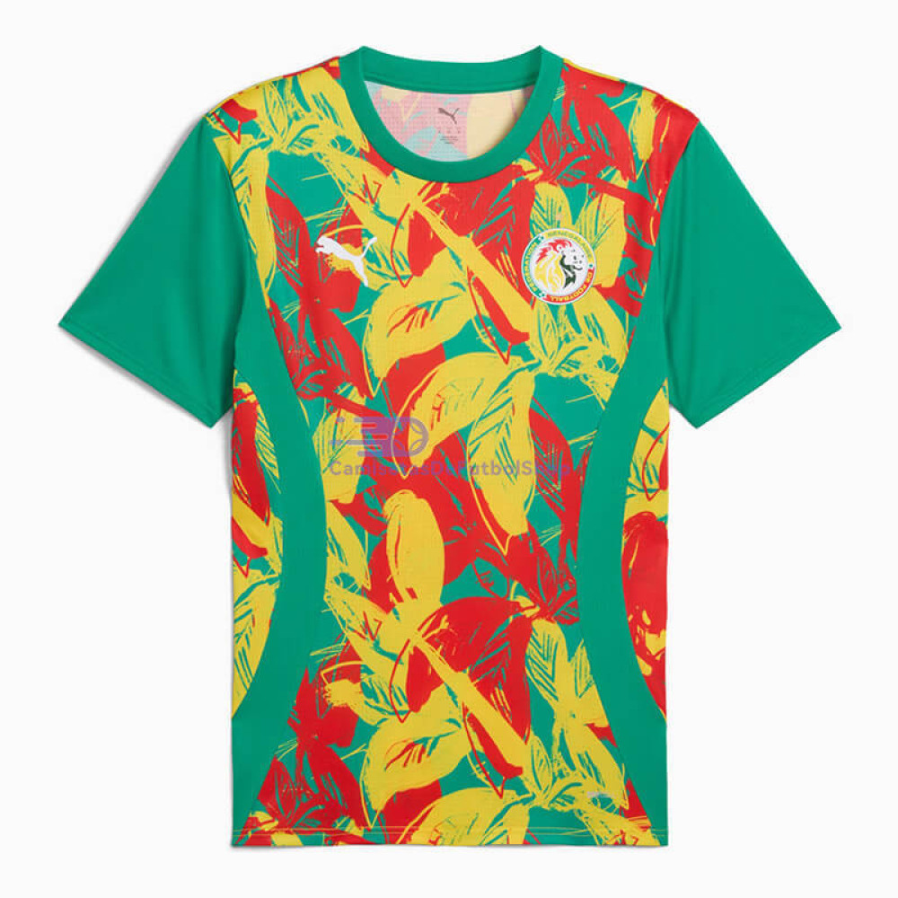 Camiseta Senegal 2025 Verde Pre-Match