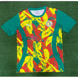 Camiseta Senegal 2025 Verde Pre-Match
