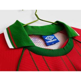 Camiseta Gales 1994 1ª Equipación Retro