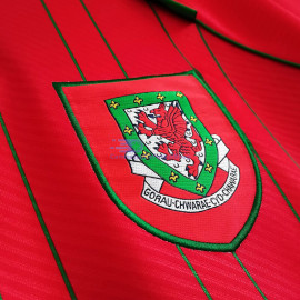 Camiseta Gales 1994 1ª Equipación Retro