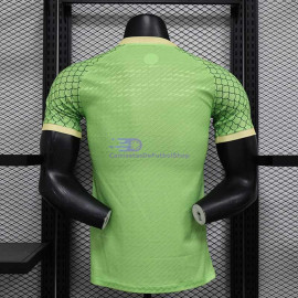 Camiseta Japón 2024 Verde Dragon Ball (EDICIÓN JUGADOR)