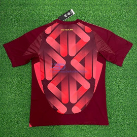 Camiseta Alemania 2025 2ª Equipación la EURO Femenina