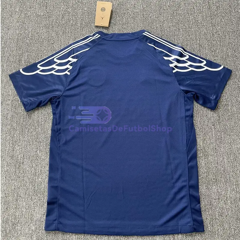 Camiseta PSG 2024/2025 4ª Equipación