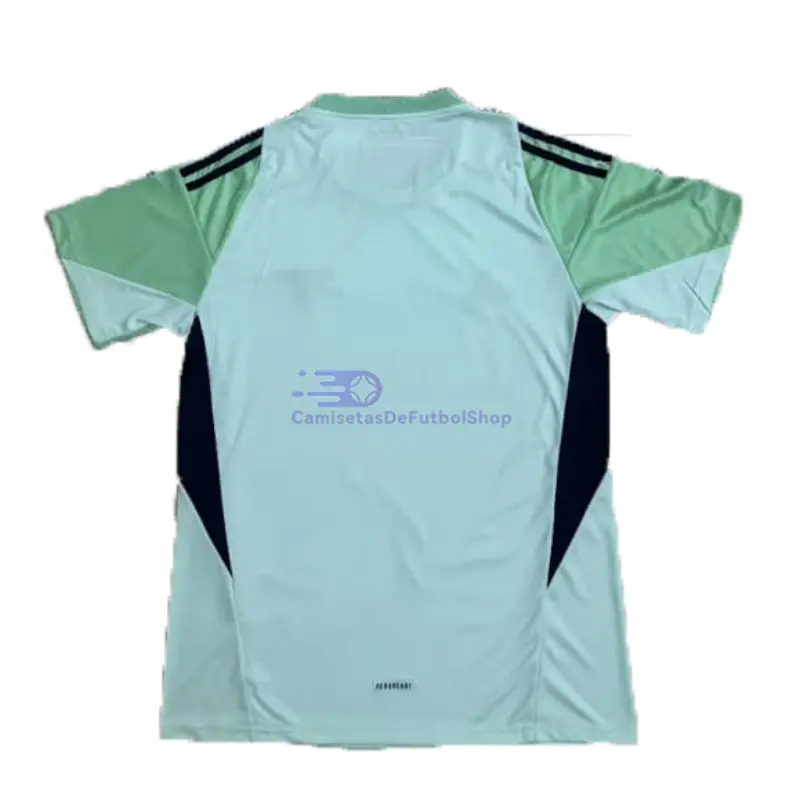 Camiseta de Portero Arsenal 2025/2026 Verde Claro/Negro