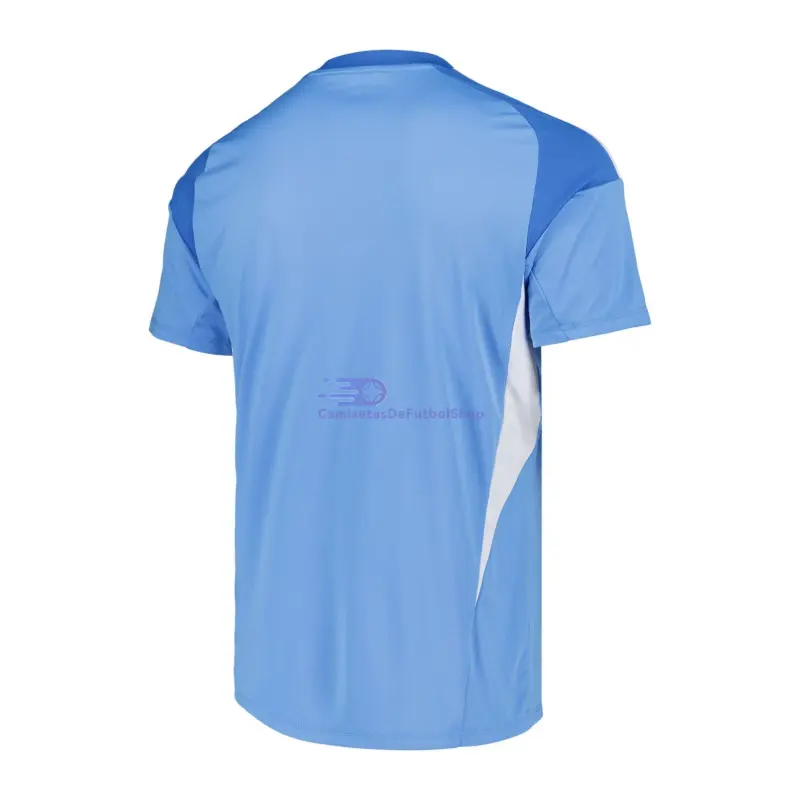 Camiseta de Portero Leeds United 2025/2026 Azul